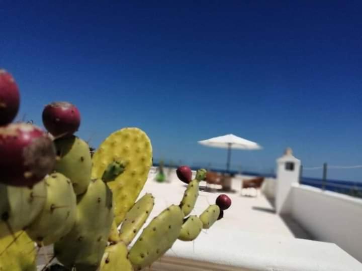 Marina Villa Marittima Ngoại thất bức ảnh